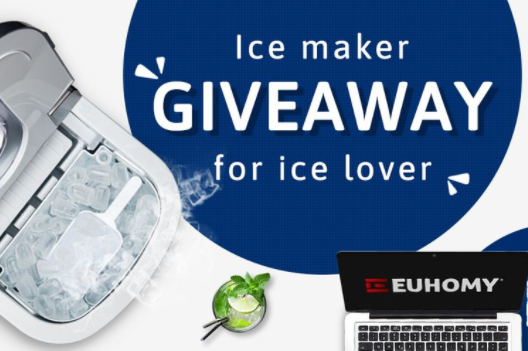Ice lover’s questionnaire